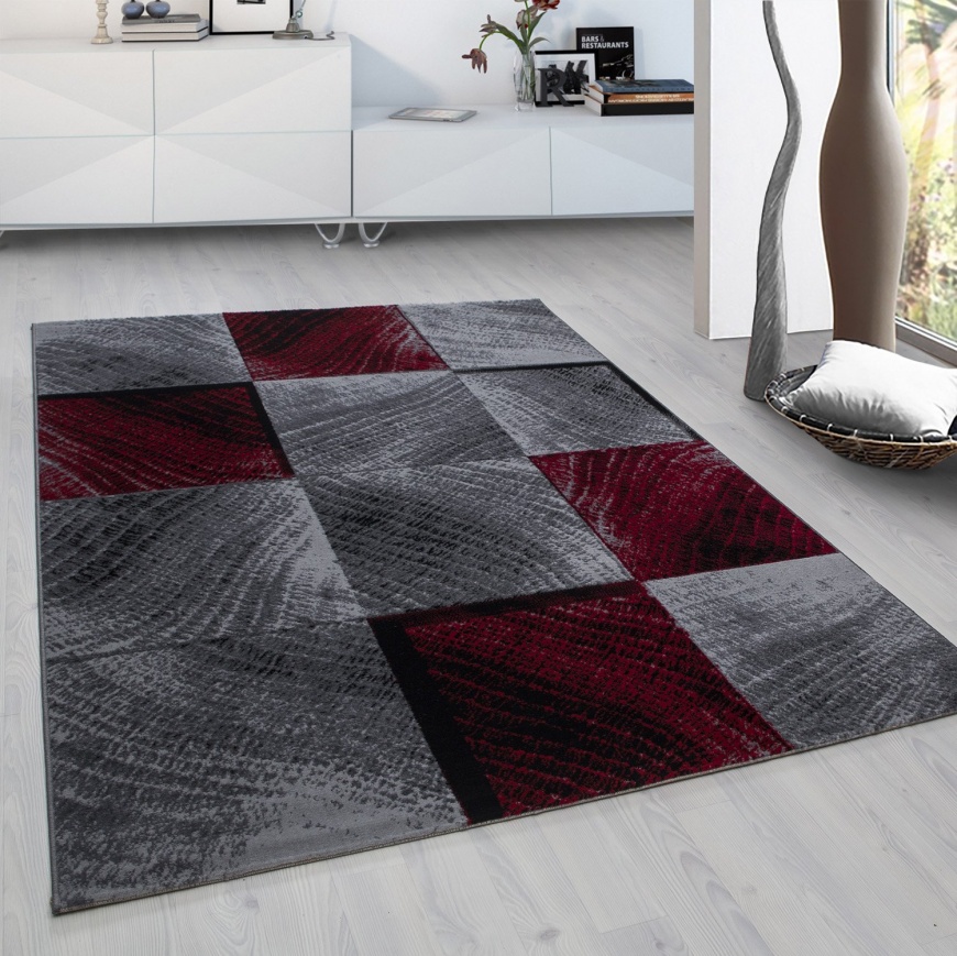 Cara Checkered Modern Red Rug